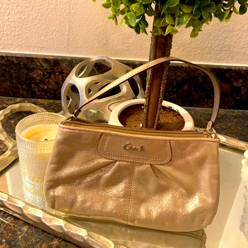 Coach wristlet/evening clutch